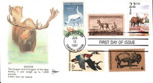 #2298 Moose Combo Gillcraft FDC