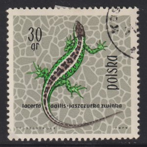 Poland 1134 Sand Lizard 1963