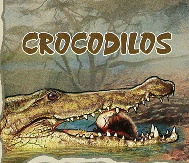 Crocodiles Stamp Crocodylus Niloticus Wild Animal S/S MNH #2990 / Bl.221