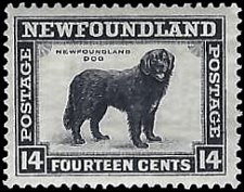 NEWFOUNDLAND   #194 MH (5)