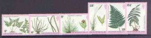 ASCENSION IS. - 1980 - Ferns and Grasses - Perf 6v Set - MNH