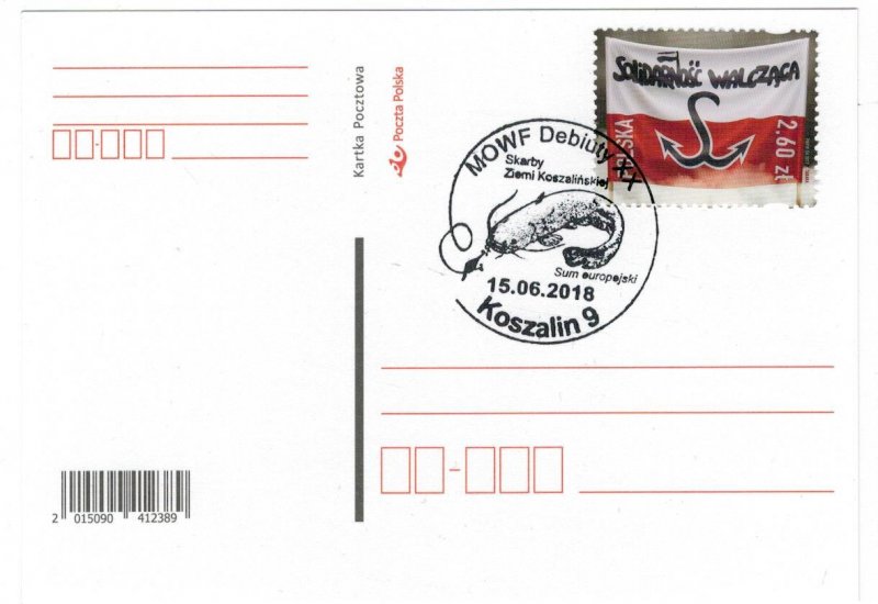 Poland 2018 Card Special Cancellation Fish Wels catfish