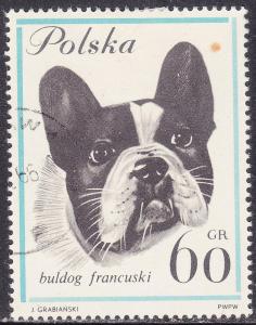 Poland 1119 Dogs, French Bulldog 60Gr 1963