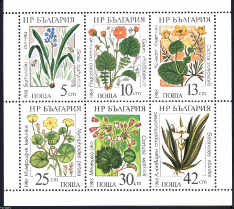 Bulgaria 3305a FLOWERS & PLANTS 1988 min. Sheet Cancelled-To-Order.