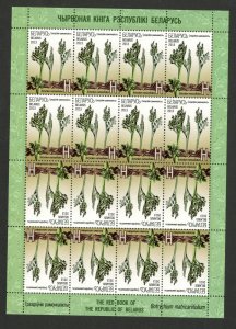 BELARUS-MNH SHEET -FLORA-FLOWERS-2013.