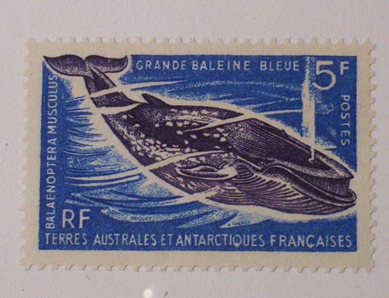 French Southern & Antarctic Territories Scott #25 unused