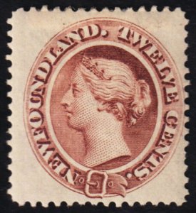 Newfoundland Scott 29 (1894) Mint H F, CV $70.00 C 