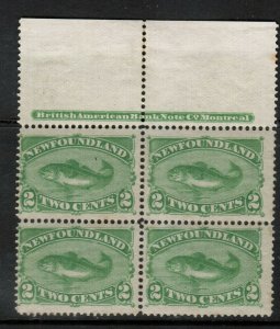 Newfoundland #46 Mint Fine - Very Fine Never Hinged Top Plate Block