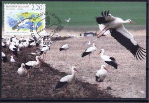 BULGARIA ISRAEL STAMPS 2016 JOINT ISSUE BIRD MIGRATION MAXIMUM CARD FAUNA