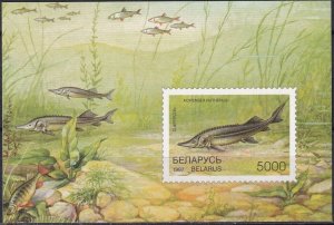 Belarus 1997 MNH Stamps Souvenir Sheet Scott 208 Fish