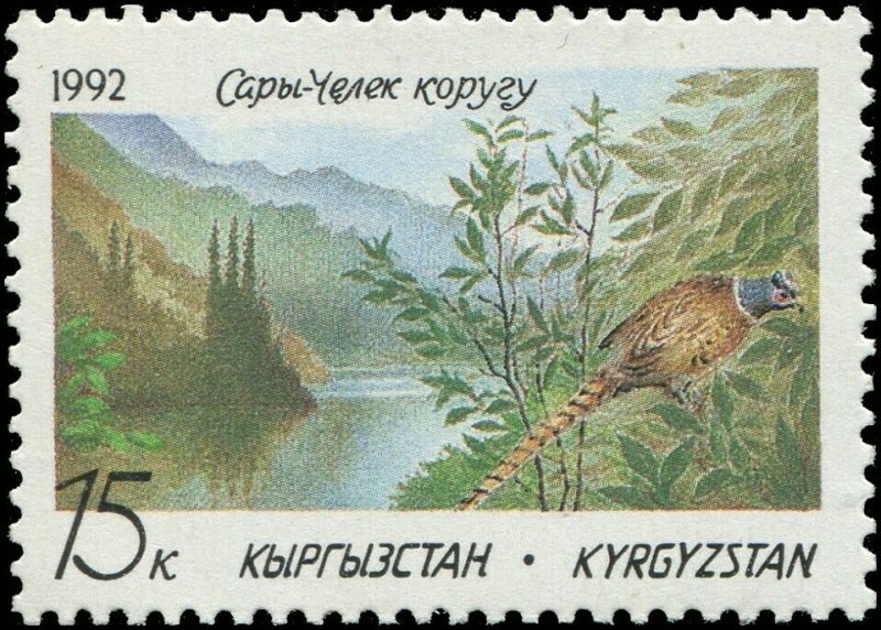 Kyrgyzstan 1992 Sc 1 Bird Pheasant Sary-Chelek Nature Preserve