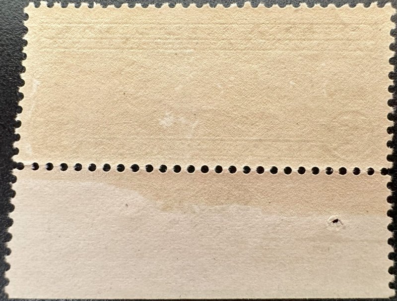 C13 Graf Zeppelin MNH