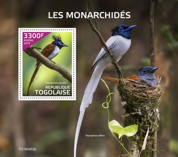 Togo Stamps 2019. - Monarchs (Terpsiphone paradisi).Imperf.