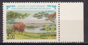 Russia, Fauna, Animals, Birds, EUROPA MNH / 1999