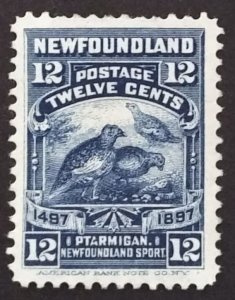 Newfoundland 69 VF MNG