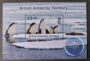 YEAR 2023 - BRITISH ANTARCTIC TERRITORY  - Complet Year 2023 set    MNH **