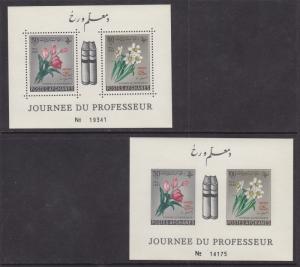 Afghanistan, Mi Block 19A, 19B, MNH. 1962 UNESCO perf & imperf sheets, Flowers