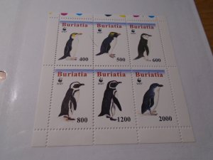 Birds  :  Buriatia  MNH