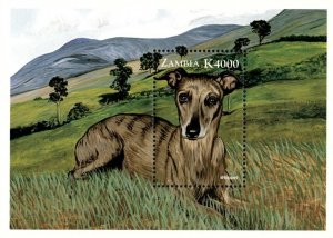 Zambia 1999 - Dogs of The World Whippet - Souvenir Sheet - Scott 810 - MNH