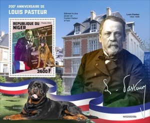 Niger - 2022 French Chemist Louis Pasteur - Stamp Souvenir Sheet - NIG220235b