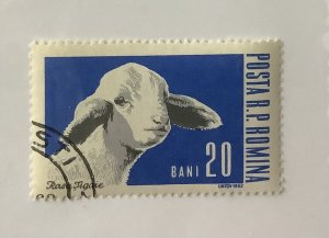 Romania 1962 Scott 1527 CTO - 20b,  Farm’s animal,  sheep