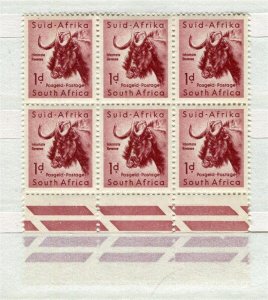 SOUTH AFRICA; 1954 early Wildlife Wildebeest issue MINT MNH 1d. Positional BLOCK