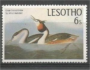 LESOTHO, 1985, MNH 6s, Audubon Bird. Scott 482