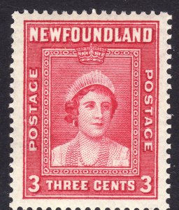 1938 Newfoundland Queen Elizabeth QE  3¢ MNH Sc# 246 CV: $2.10