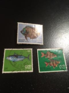 Sri Lanka sc 473,475,476 uhr Fish