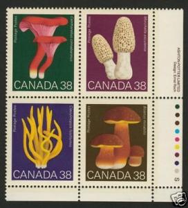 Canada 1248a BR Plate Block MNH Mushrooms