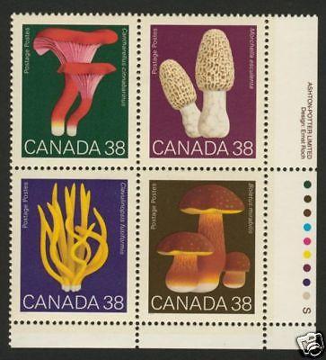 Canada 1248a BR Plate Block MNH Mushrooms