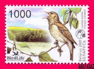 BELARUS 2007 Nature Fauna Bird of Year Nightingale 1v Sc617 Mi662 MNH