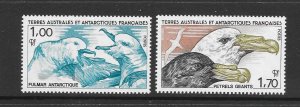 FRENCH SOUTHERN ANTARCTIC TERRITORY #118-19 BIRDS  MNH