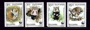 Bulgaria 3831-34 MNH 1994 Animals (W.W.F.)  #2