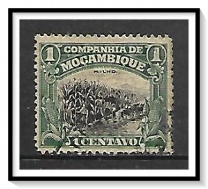 Mozambique Company #111 Corn Used