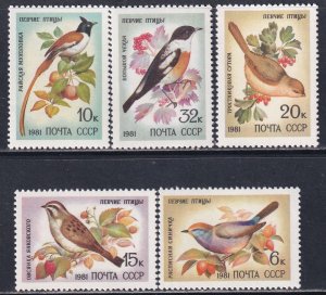 Russia 1981 Sc 4972-6 Song Birds Stamp MNH