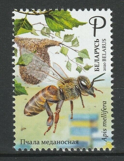 Belarus 2020 Honey Bee MNH stamp