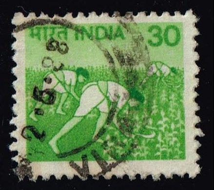 India #843a Women in Rice Field; Used (0.25)