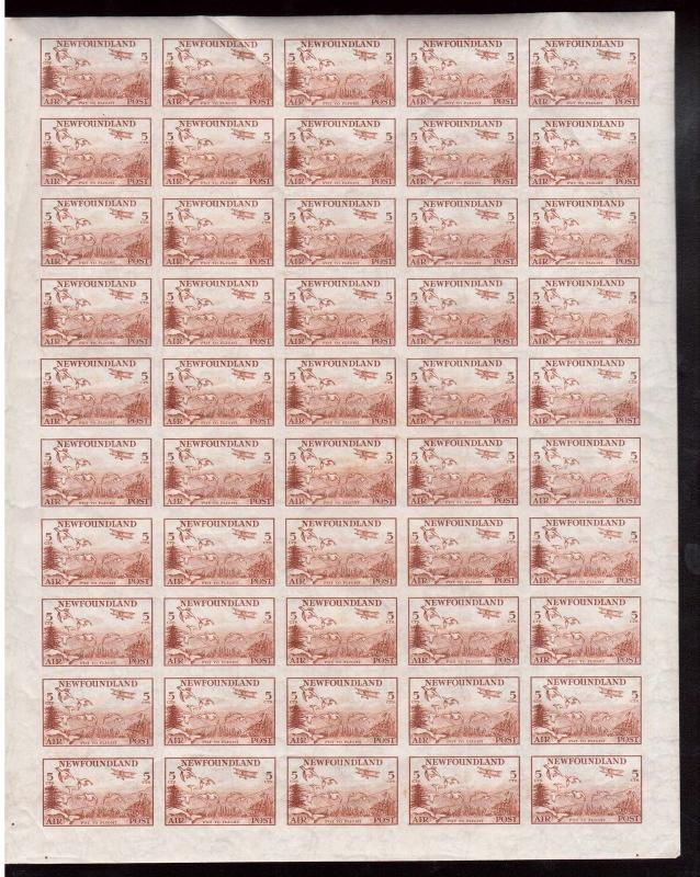 Newfoundland #C13a XF/NH Imperforate Unique Full Sheet