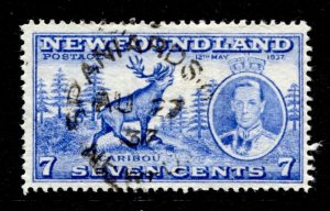 Newfoundland #235 USED VF SINGLE