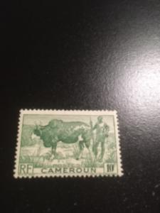 Cameroun sc 304 MH