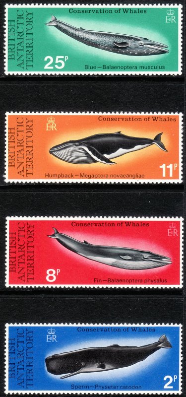 1977 BAT British Antarctic Whales complete set MNH Sc# 64 / 67 CV $28.25