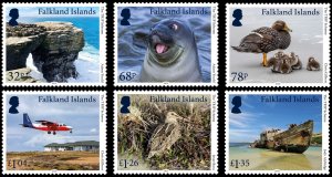 FALKLAND ISLANDS 2021 BIRDS AIRCRAFT SHIPWRECK SEAL FAUNA TRIP SCHEME