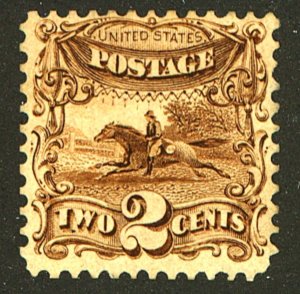 U.S. #113 MINT NG