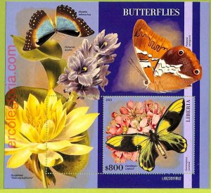 B0533 - LIBERIA - MISPERF ERROR Stamp Sheet - 2023 - INSECTS, Butterflies-