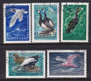 Russia 1972 Sc 3939-43 USSR Waterfowl Cormorant Gull Geese Elders Stamp CTO