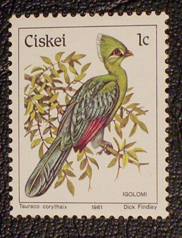 South Africa - Ciskei Scott #5 mnh