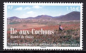 TAAF FRANCE ANTARCTIC 2023 BIRDS OISEAUX VOGEL SCENERY ÎLE AUX COCHONS FSAT