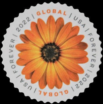 5680 African Sunflower P111111 Plate Position 3 Sheet of 10 | United