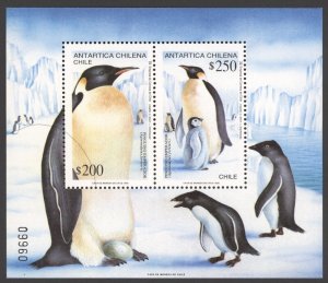 Chile 1992 Scott # 1021a Antartic Wildlife King Penguins Souvenir Sheet MNH